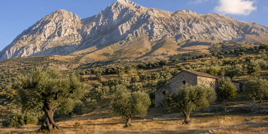 Stone farmhouse and old olive trees on a dry hillside below the pale limestone peaks of a mountain massif