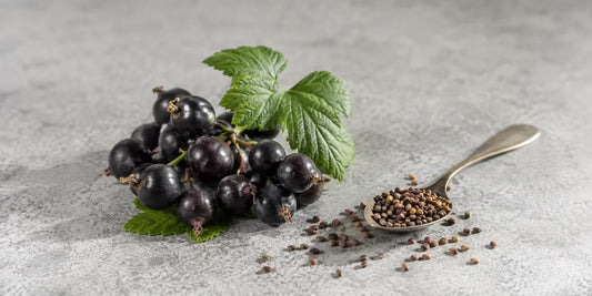 Cluster of ripe blackcurrant berries with green leaves beside scattered pale seeds on grey stone