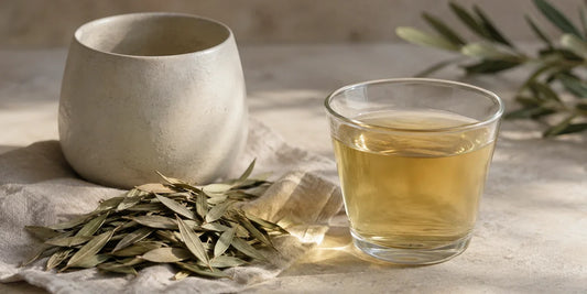 Dried olive leaves on pale linen beside a glass cup of pale gold-green infusion and a stone pot