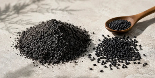 Mound of finely ground black seed powder beside whole matte black Nigella sativa seeds on a pale stone surface in soft daylight