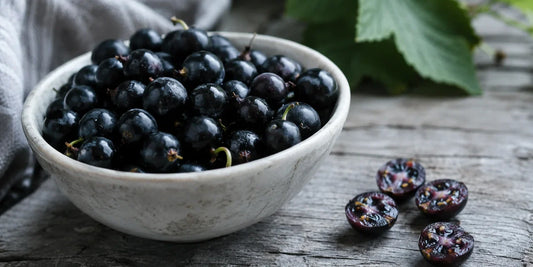 Pale ceramic bowl of glossy dark blackcurrants on a weathered grey table with split berries beside