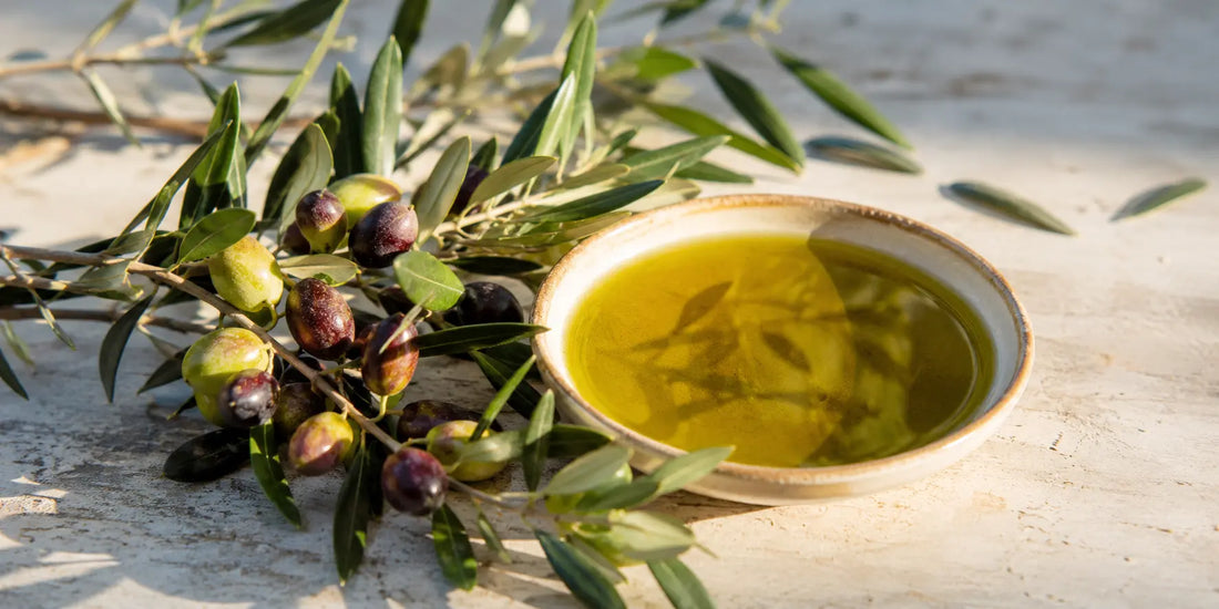 Ripe green and dark purple olives on a leafy branch beside a bowl of golden-green olive oil in warm daylight