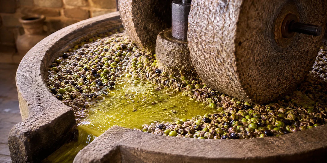 Fresh olives crushed in a traditional stone mill with green-gold olive oil beginning to separate