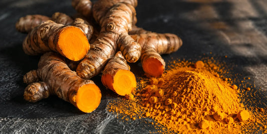 Fresh turmeric root and bright golden turmeric powder arranged on a dark stone surface in warm directional light