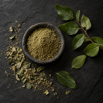 Overhead view of Sidr leaf powder and dried leaves — illustrative ingredient photograph